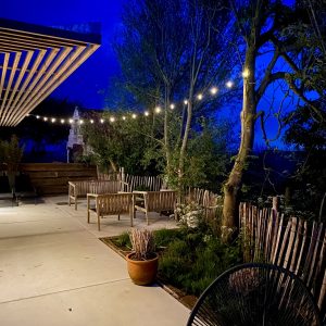 website (26)